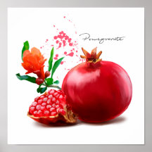 Pomegranaat en splaatstgenoemd. Waterverf illustra