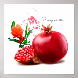 Pomegranaat en splaatstgenoemd. Waterverf illustra Poster