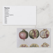 Pomegranaat, gegraveerd door Johann Jakob Haid (17 Visitekaartje (Voorkant / Achterkant)