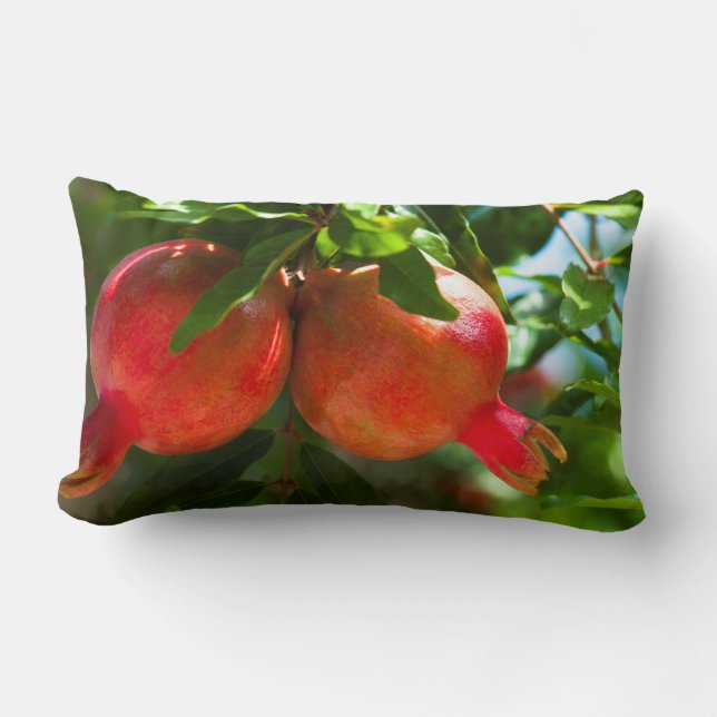 Pomegranaat Kussen (Voorkant)