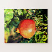 Pomegranaat Legpuzzel (Horizontaal)