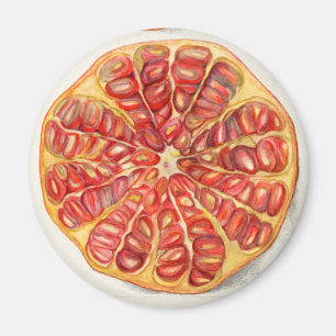 Pomegranaat Magneet