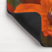 Pomegranaat Muismat (Hoek)