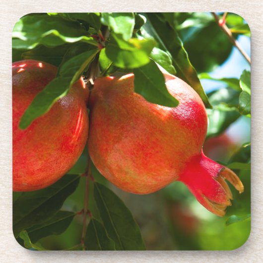 Pomegranaat Onderzetter (Voorkant)