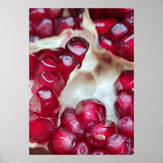 Pomegranaat Poster (Voorkant)