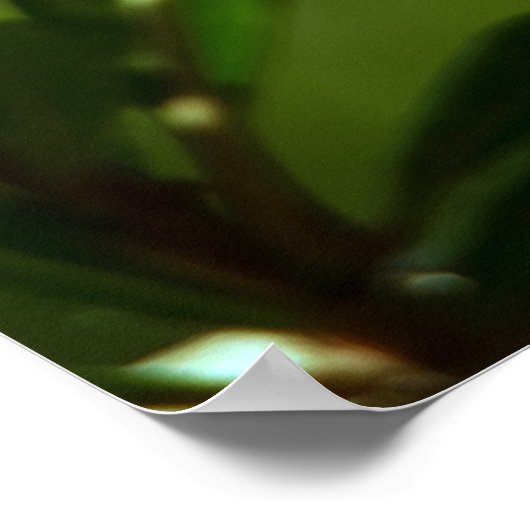 Pomegranaat Poster (Hoek)