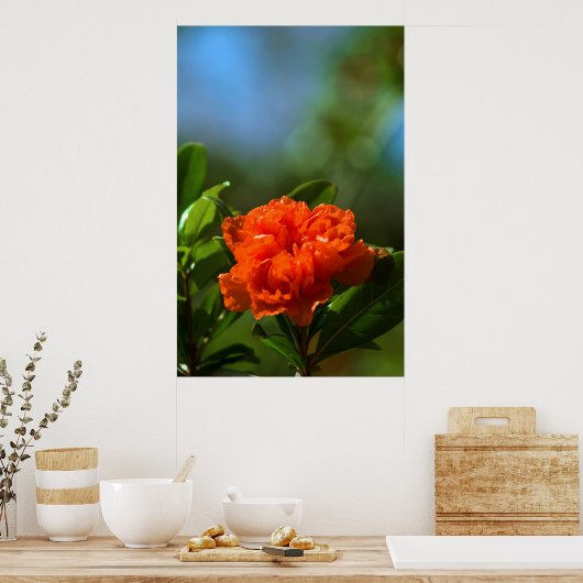 Pomegranaat Poster (Keuken)