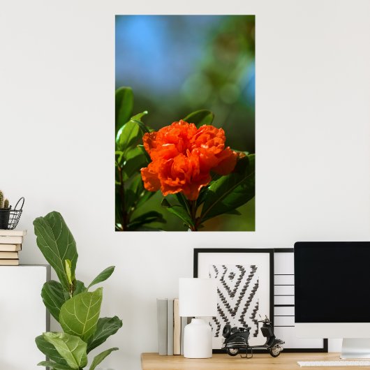 Pomegranaat Poster (Thuiskantoor)