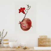  pomegranaat poster (Keuken)