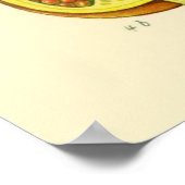 Pomegranaat Poster (Hoek)