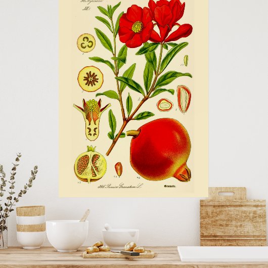 Pomegranaat Poster (Keuken)