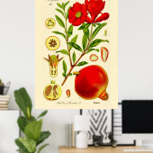 Pomegranaat Poster (Thuiskantoor)