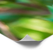 Pomegranaat Poster (Hoek)