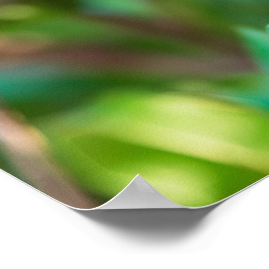 Pomegranaat Poster (Hoek)