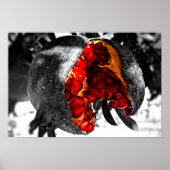 Pomegranaat Poster (Voorkant)