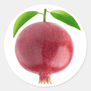 Pomegranaat Ronde Sticker