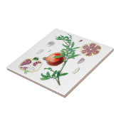 Pomegranaat Tegeltje (Zijkant)