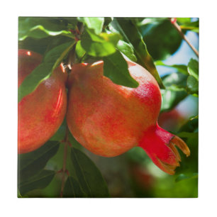 Pomegranaat Tegeltje