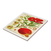 Pomegranaat Tegeltje (Zijkant)