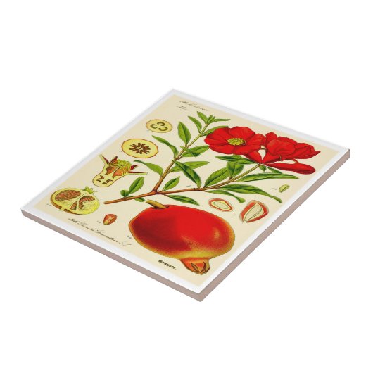 Pomegranaat Tegeltje (Zijkant)