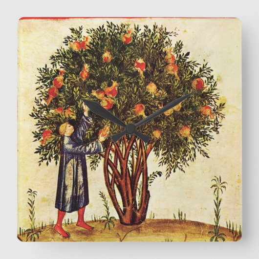 POMEGRANAT TREE ANTIEK MEDIEVAL PARCHMENT, Rustisc Vierkante Klok (Voorkant)