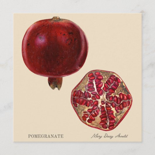 Pomegranate by Mary Daisy Arnold (Voorkant)