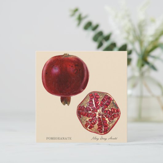 Pomegranate by Mary Daisy Arnold (Staand voorkant)