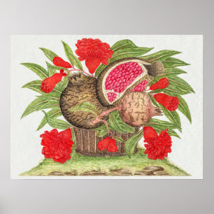 Pomegranate Flowers en vruchten Poster