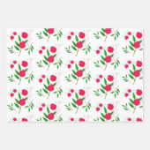 Pomegranaten en coördinerende Prints Inpakpapier Vel (Voorkant)