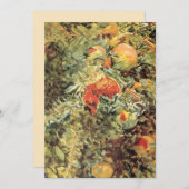 Pomegranaten II van John Singer Sargent (Voorkant / Achterkant)