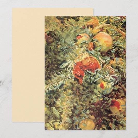 Pomegranaten II van John Singer Sargent (Voorkant / Achterkant)