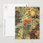 Pomegranaten II van John Singer Sargent Briefkaart (Voorkant / Achterkant)