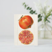 Pomegranaten (Punica Granatum) Briefkaart (Staand voorkant)
