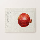 Pomegranaten (Punica Granatum) Legpuzzel (Horizontaal)