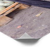 Pomegranaten te koop aangeboden poster (Hoek)