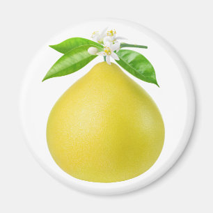 Pomelo op een tak magneet