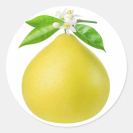 Pomelo op een tak ronde sticker