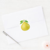 Pomelo op een tak ronde sticker (Envelop)