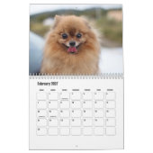 pomeraanse kalender (Feb 2027)