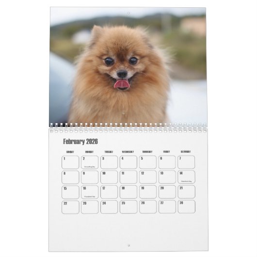 pomeraanse kalender (Feb 2026)