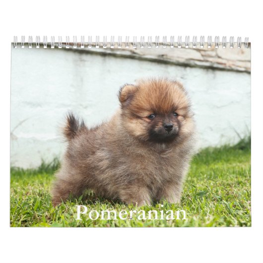 pomeraanse kalender (Hoes)