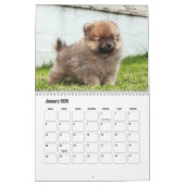 pomeraanse kalender (Jan 2026)