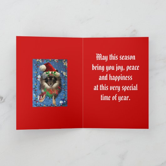 POMERAANSE KERSTMAN FEESTDAGEN KAART (Binnen)