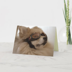 Pomeraanse Vriendschap Kaart