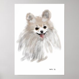Pomeraïnus Poster