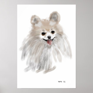 Pomeraïnus Poster