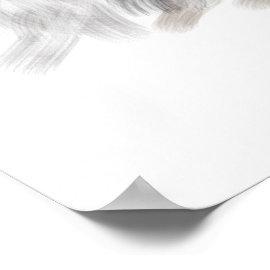 Pomeraïnus Poster (Hoek)