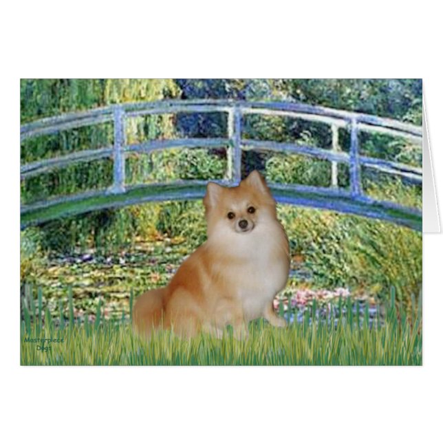 Pomeranian 3 - Brug (Voorkant Horizontaal)