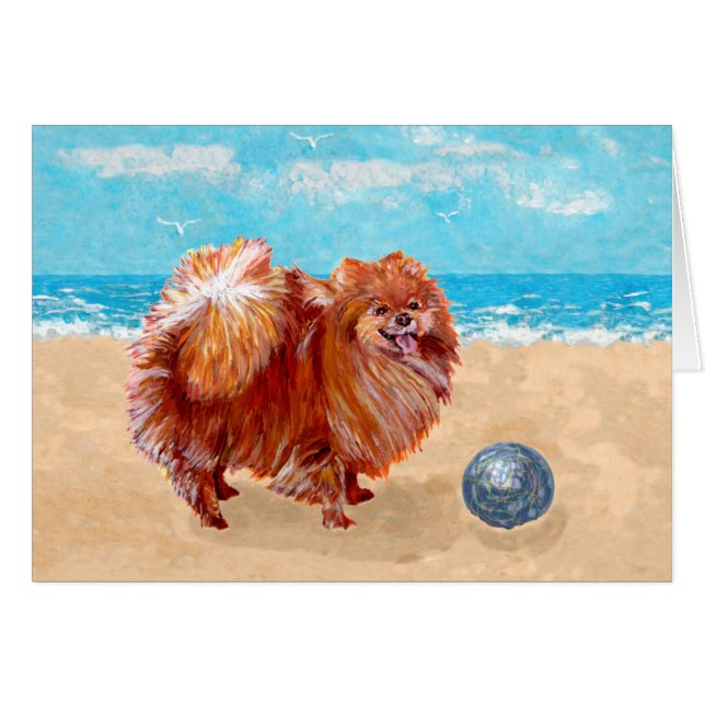 Pomeranian aan de kust (Voorkant Horizontaal)