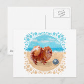 Pomeranian aan de kust briefkaart (Voorkant / Achterkant)